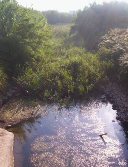 Apoyo a la Dirección de Obra CONTROL HIDROGEOLÓGICO DE LOS POZOS DE LA